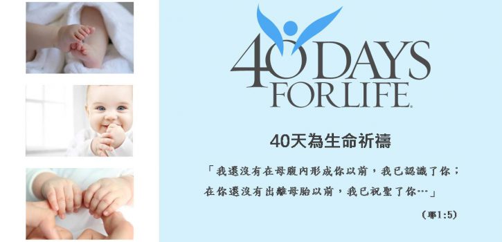 40天為生命祈禱 Days for Life!!